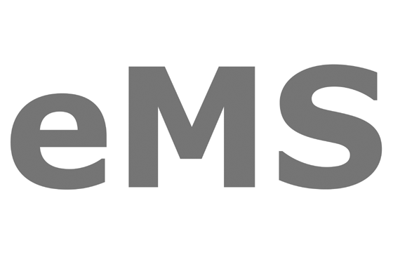 EMS logo grey